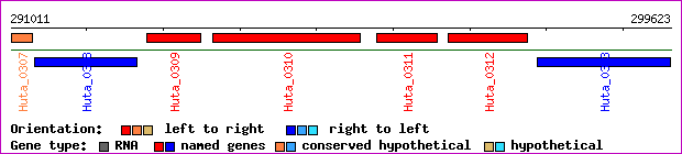 gene map