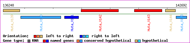 gene map