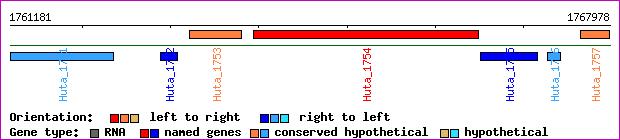 gene map