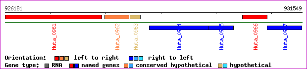 gene map