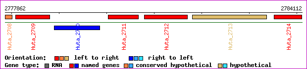 gene map