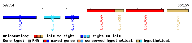 gene map