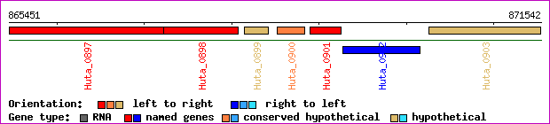 gene map