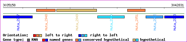 gene map
