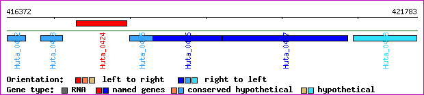 gene map
