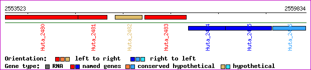 gene map