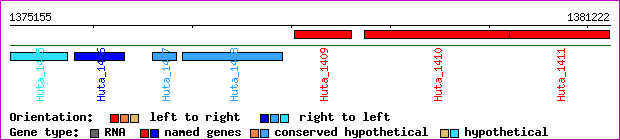 gene map