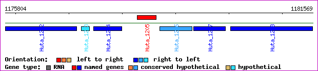 gene map