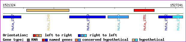 gene map