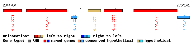 gene map