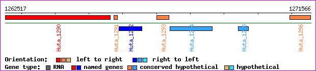 gene map