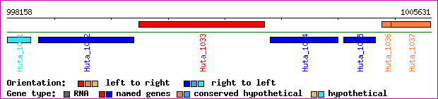 gene map