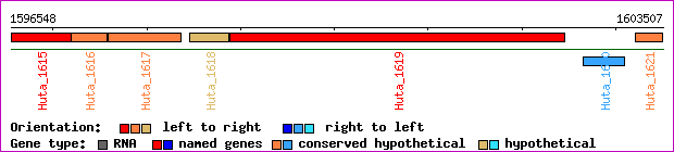 gene map