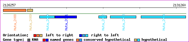 gene map