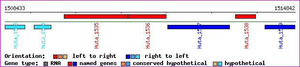 gene map