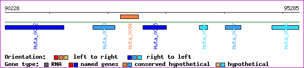gene map
