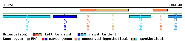 gene map