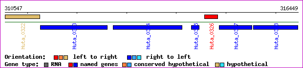 gene map