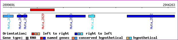 gene map