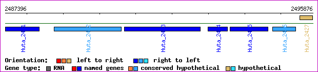 gene map