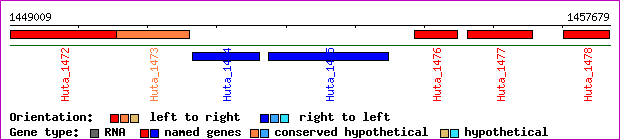 gene map
