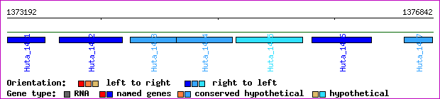 gene map