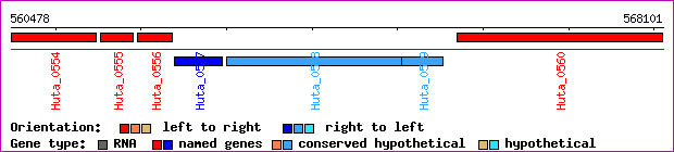 gene map