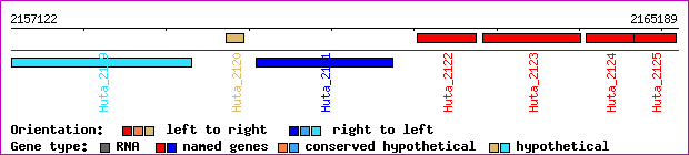 gene map