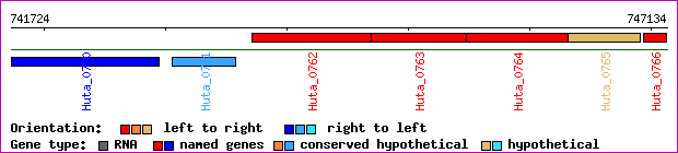 gene map