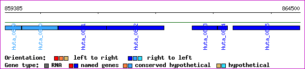 gene map