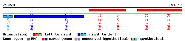 gene map