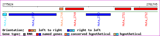 gene map