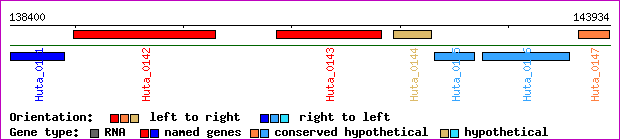gene map