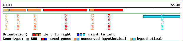 gene map