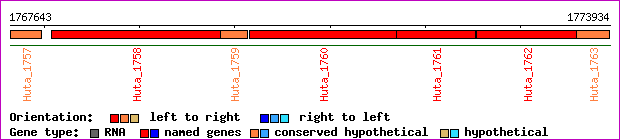 gene map