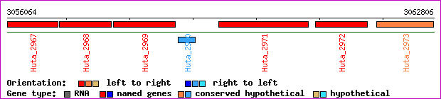 gene map