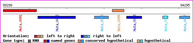 gene map
