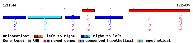 gene map