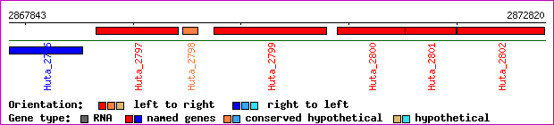 gene map