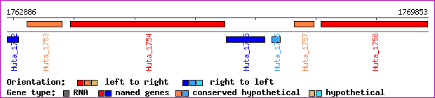 gene map
