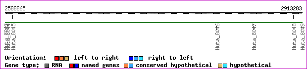 gene map