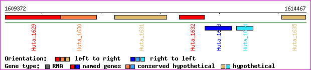 gene map