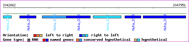 gene map