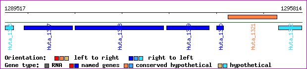 gene map