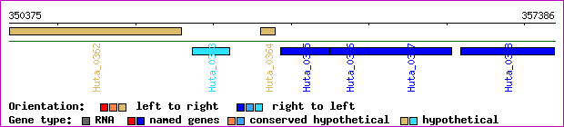 gene map