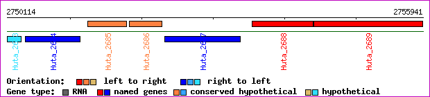 gene map