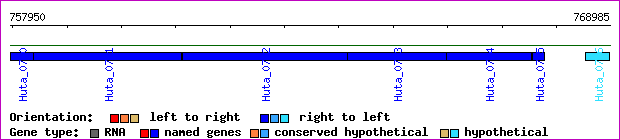gene map