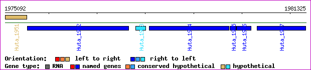 gene map