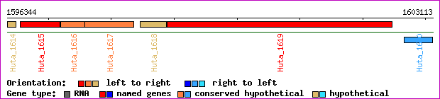 gene map