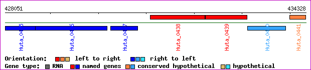 gene map